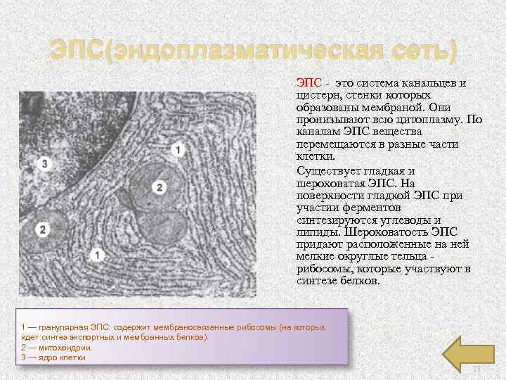 Стенки образованы одним слоем плоских