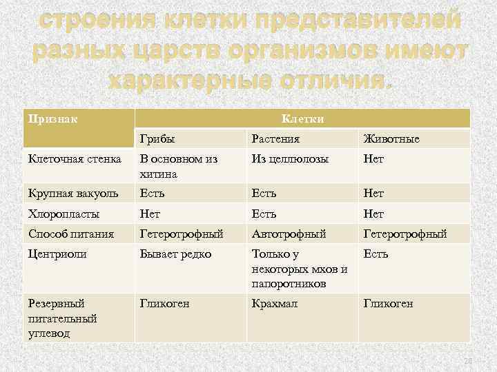 строения клетки представителей разных царств организмов имеют характерные отличия. Признак Клетки Грибы Растения Животные