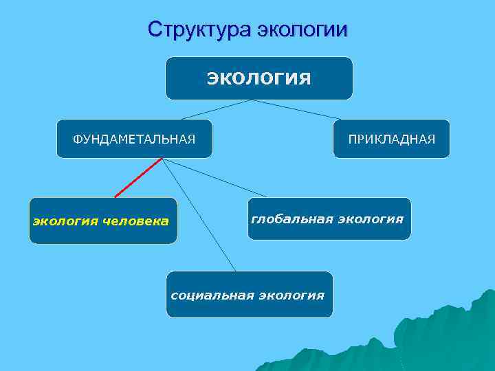 Гигиена и экология. Социальная экология лекция 1. Предмет гигиены и экологии человека связь с другими дисциплинами. Дисциплина гигиена и экология человека поделки.