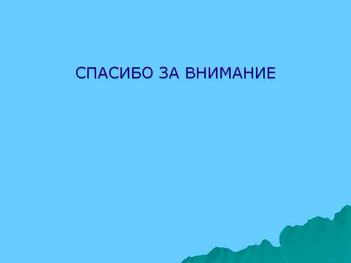 СПАСИБО ЗА ВНИМАНИЕ 