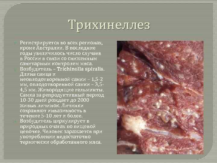 Трихинеллез Регистрируется во всех регионах, кроме Австралии. В последние годы увеличилось число случаев в