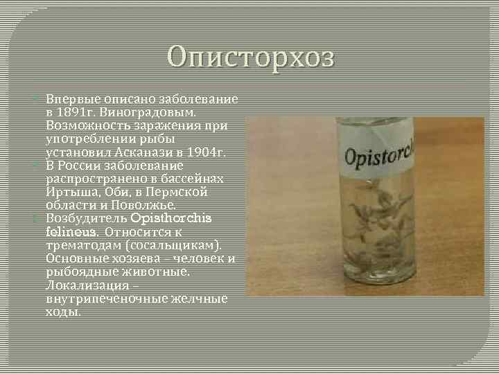 Описторхоз Впервые описано заболевание в 1891 г. Виноградовым. Возможность заражения при употреблении рыбы установил
