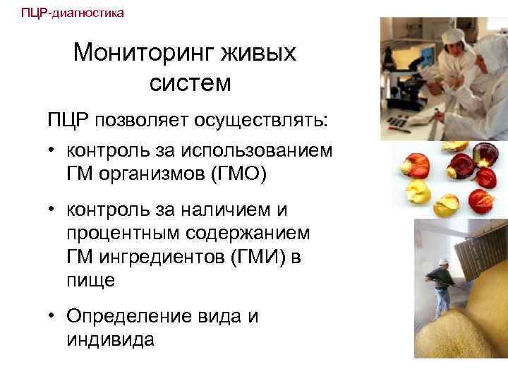 ПЦР-диагностика Мониторинг живых систем ПЦР позволяет осуществлять: • контроль за использованием ГМ организмов (ГМО)