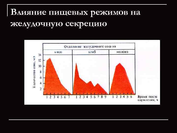 Влияние пищевых режимов на желудочную секрецию 