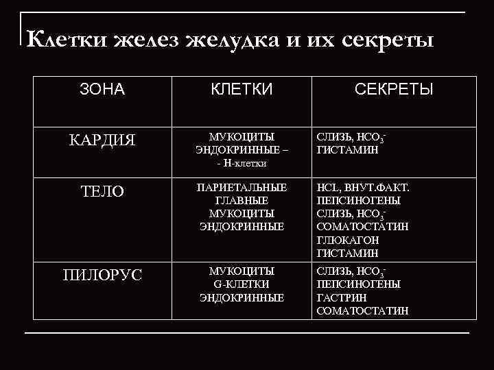 Клетки желез желудка и их секреты ЗОНА КЛЕТКИ СЕКРЕТЫ КАРДИЯ МУКОЦИТЫ ЭНДОКРИННЫЕ – -