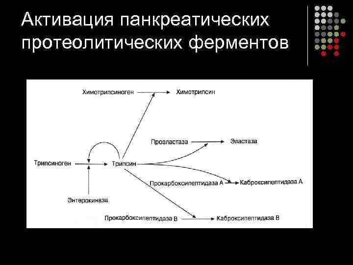 Активация панкреатических протеолитических ферментов 