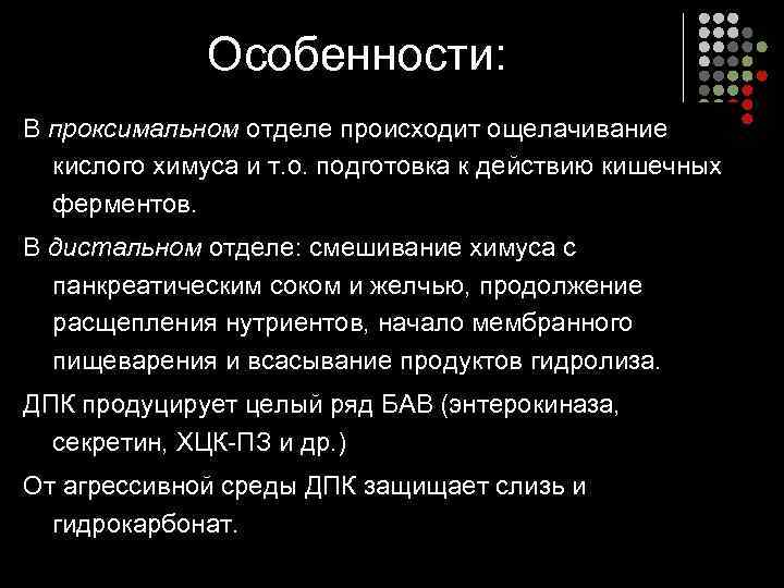 Особенности: В проксимальном отделе происходит ощелачивание кислого химуса и т. о. подготовка к действию