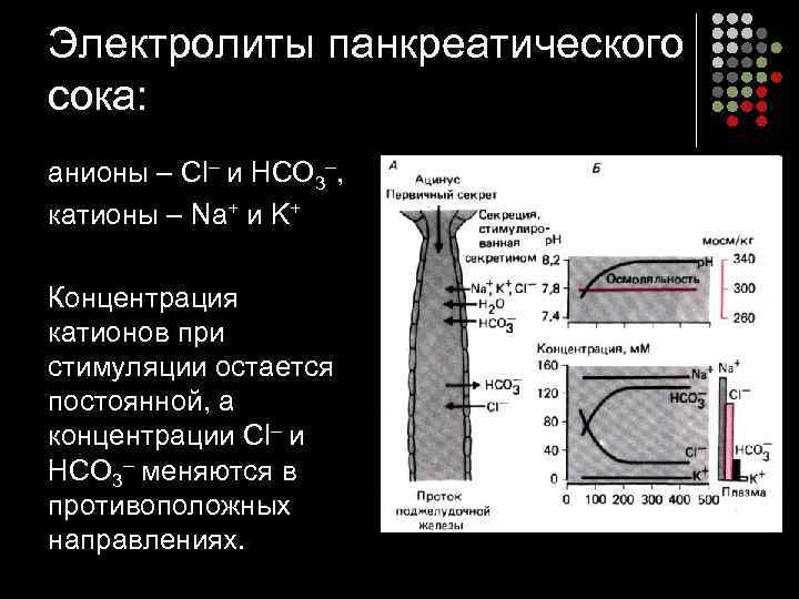 Электролиты панкреатического сока: анионы – Сl– и НСО 3–, катионы – Na+ и K+