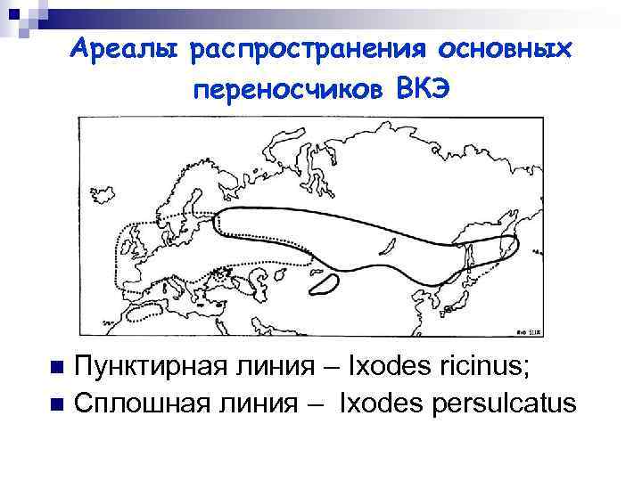 Ареалы распространения основных переносчиков ВКЭ Пунктирная линия – Ixodes ricinus; n Сплошная линия –