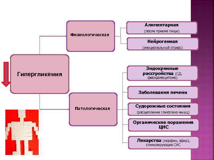  Алиментарная (после приема пищи) Физиологическая Нейрогенная (эмоциональный стресс) Эндокринные Гипергликемия расстройства (СД, феохромоцитома)