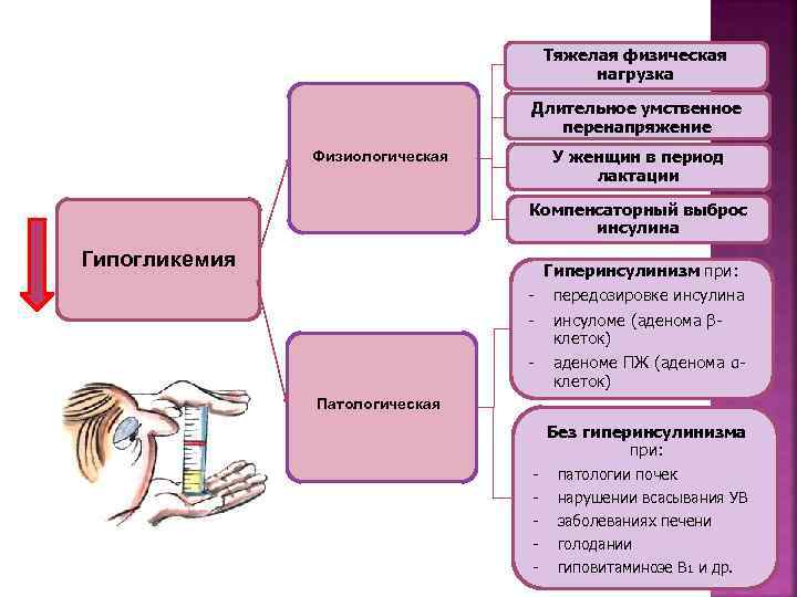  Тяжелая физическая нагрузка Длительное умственное перенапряжение Физиологическая У женщин в период лактации Компенсаторный