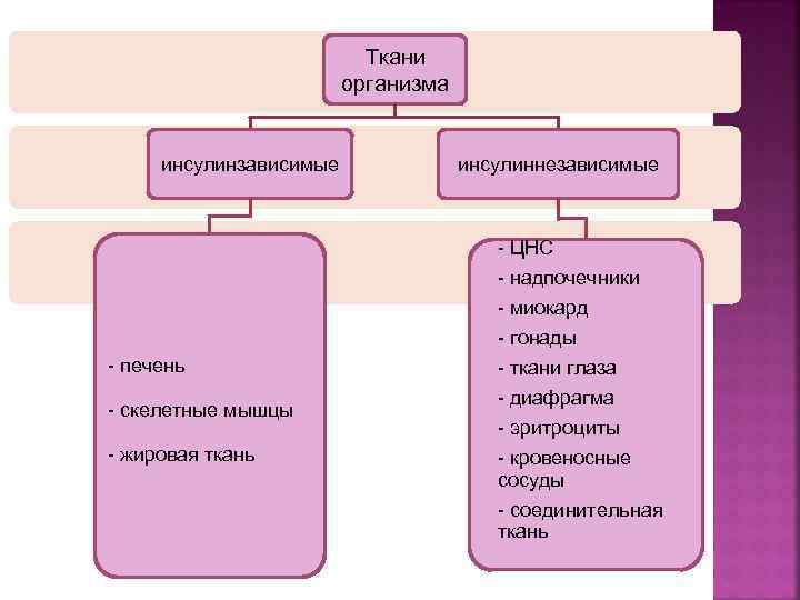  Ткани организма инсулинзависимые инсулиннезависимые - ЦНС - надпочечники - миокард - гонады -