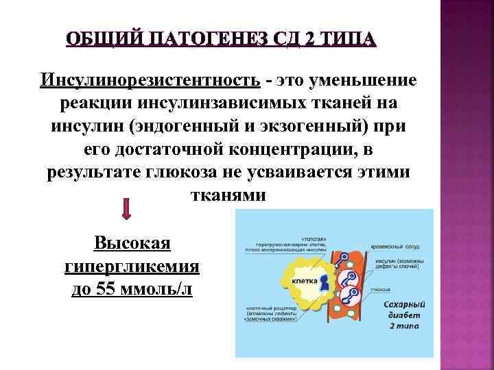  ОБЩИЙ ПАТОГЕНЕЗ СД 2 ТИПА Инсулинорезистентность - это уменьшение реакции инсулинзависимых тканей на