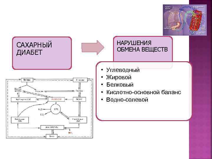 Обмен веществ и диабет