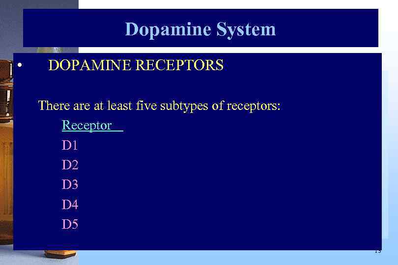 Dopamine System • DOPAMINE RECEPTORS There at least five subtypes of receptors: Receptor D
