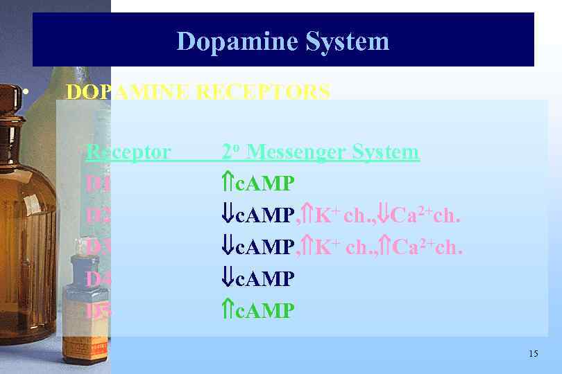Dopamine System • DOPAMINE RECEPTORS Receptor D 1 D 2 D 3 D 4