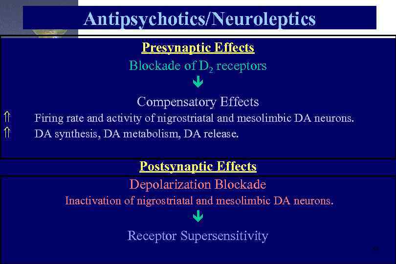 Antipsychotics/Neuroleptics Presynaptic Effects Blockade of D 2 receptors Compensatory Effects Ý Ý Firing rate