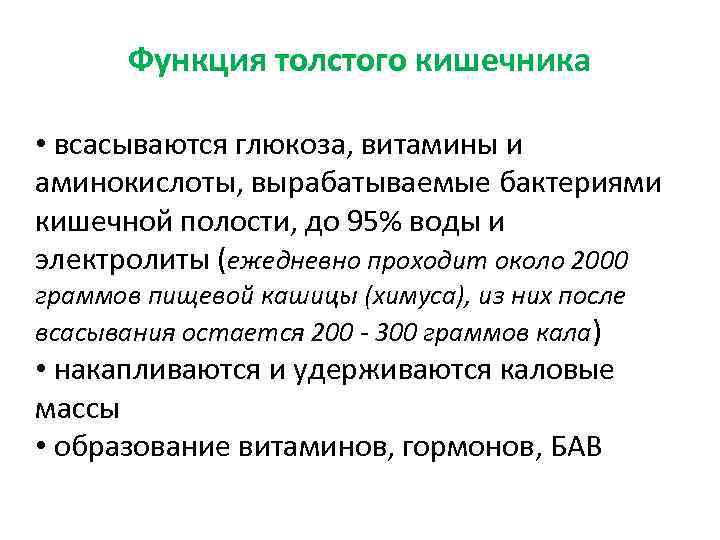 Функция толстого кишечника • всасываются глюкоза, витамины и аминокислоты, вырабатываемые бактериями кишечной полости, до