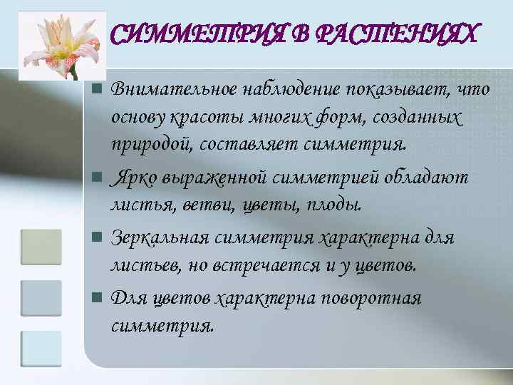 СИММЕТРИЯ В РАСТЕНИЯХ Внимательное наблюдение показывает, что основу красоты многих форм, созданных природой, составляет