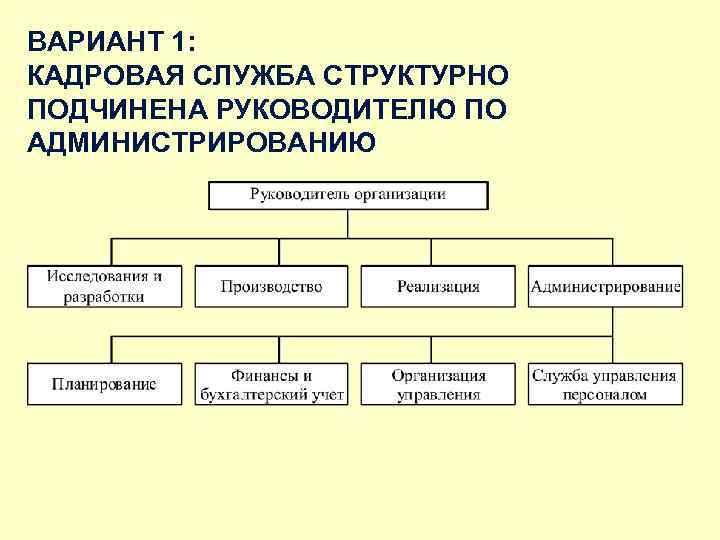 ВАРИАНТ 1: КАДРОВАЯ СЛУЖБА СТРУКТУРНО ПОДЧИНЕНА РУКОВОДИТЕЛЮ ПО АДМИНИСТРИРОВАНИЮ 