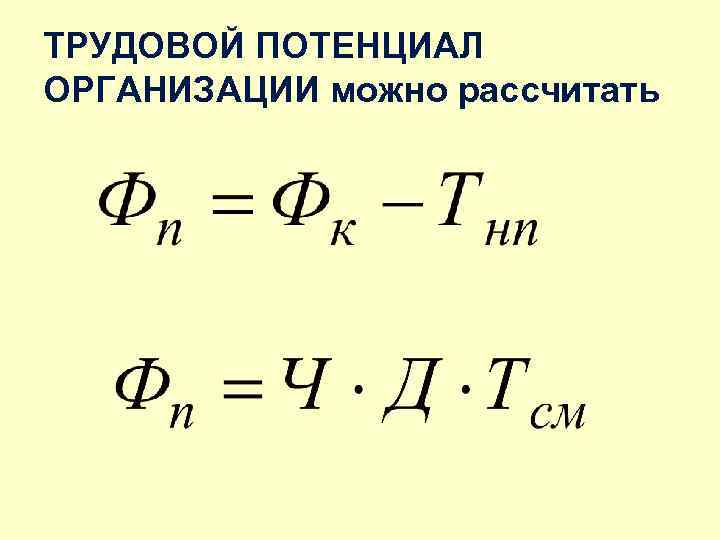 ТРУДОВОЙ ПОТЕНЦИАЛ ОРГАНИЗАЦИИ можно рассчитать 