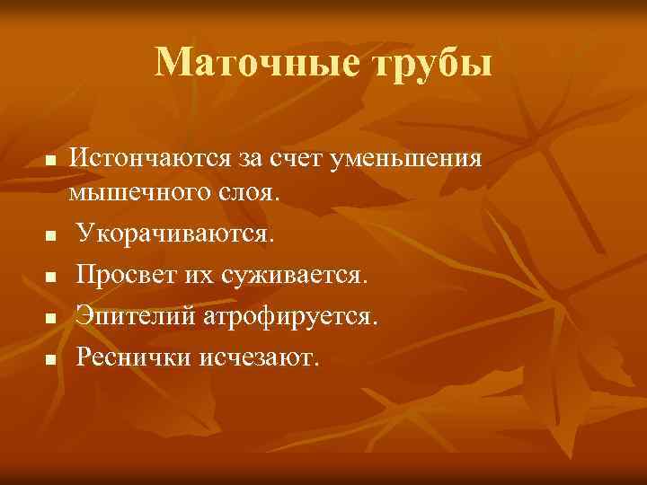 Маточные трубы n n n Истончаются за счет уменьшения мышечного слоя. Укорачиваются. Просвет их