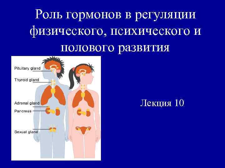 Роль гормонов. Роль гормонов в регуляции. Роль гормонов в физическом развитии. Гормоны у подростков. Роль гормонов в развитии тренированности..