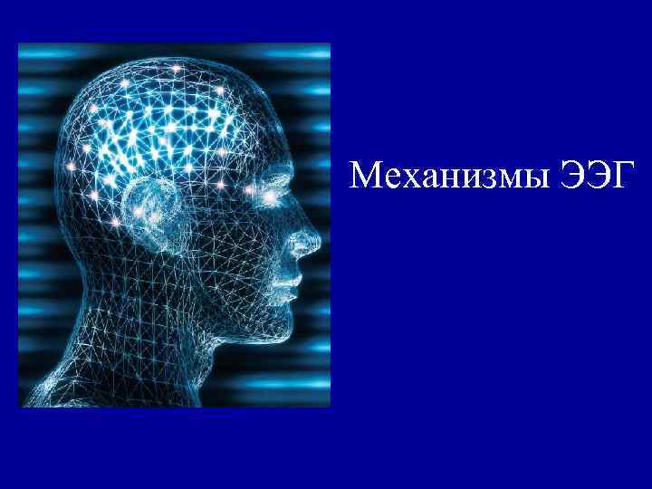 Механизмы ЭЭГ 