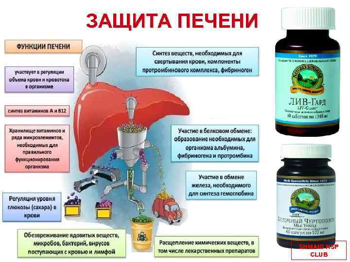 ЗАЩИТА ПЕЧЕНИ SHMAIG NSP CLUB 