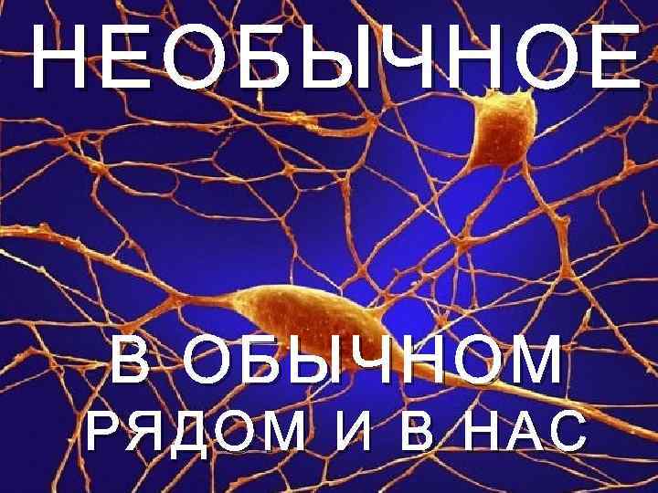 НЕОБЫЧНОЕ В ОБЫЧНОМ РЯДОМ И В НАС 