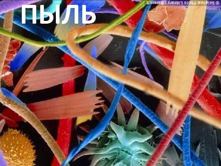 ПЫЛЬ 