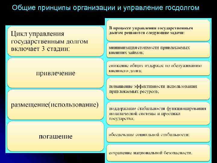 Общие принципы организации и управление госдолгом 
