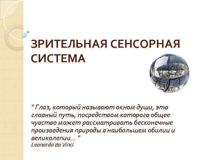 ЗРИТЕЛЬНАЯ СЕНСОРНАЯ СИСТЕМА 