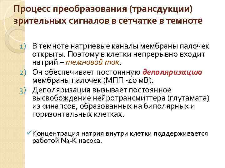 Процесс преобразования (трансдукции) зрительных сигналов в сетчатке в темноте 1) В темноте натриевые каналы
