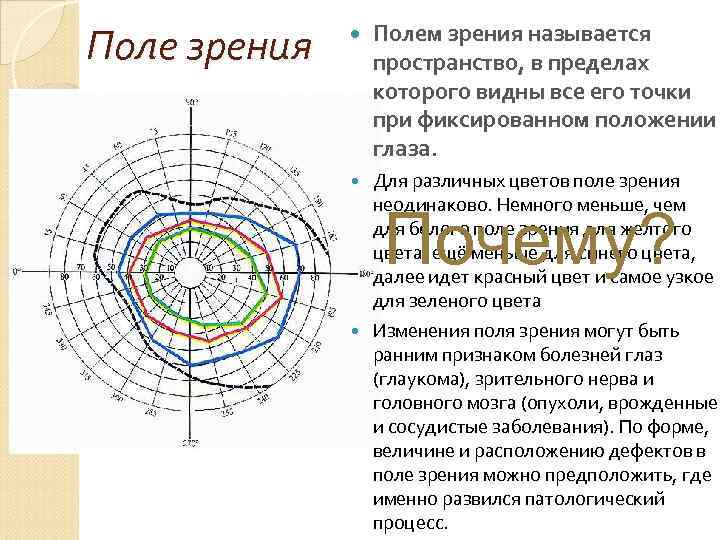 Точкой зрения называется