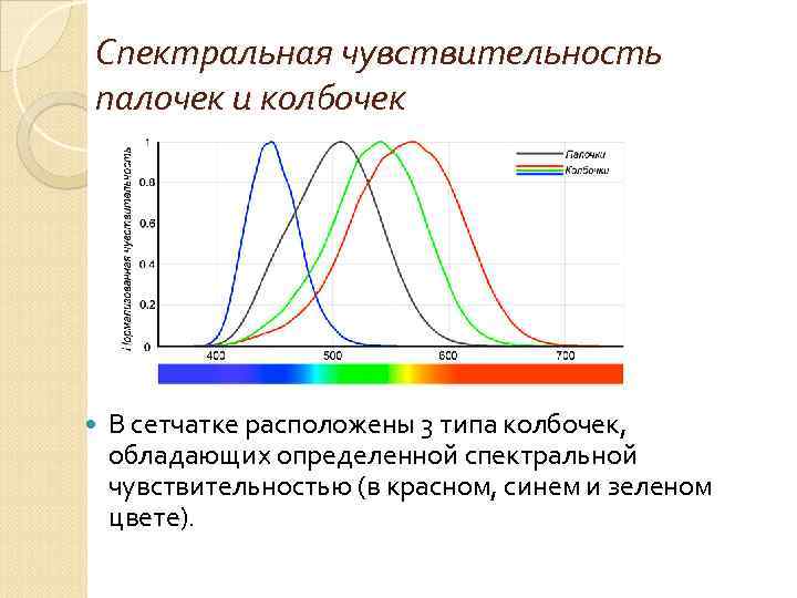 Спектральная чувствительность