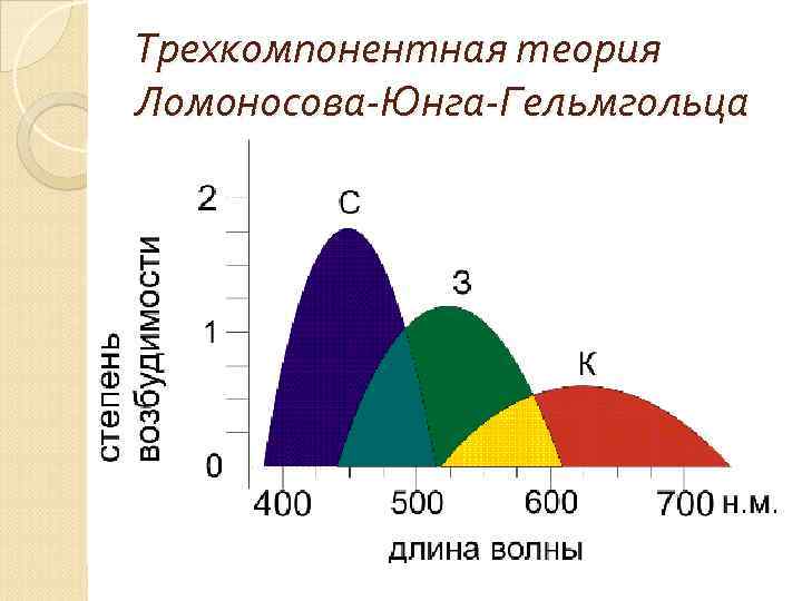 Цветовое зрение схема