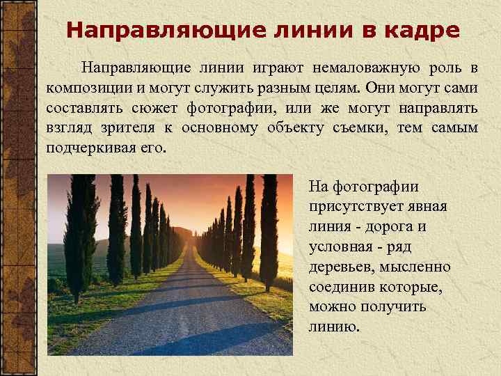 Направляющие линии в кадре Направляющие линии играют немаловажную роль в композиции и могут служить