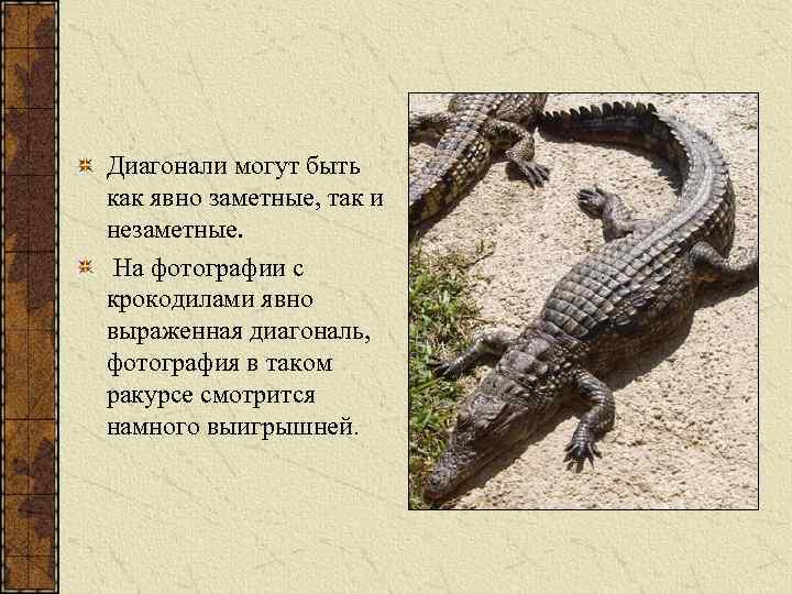 Диагонали могут быть как явно заметные, так и незаметные. На фотографии с крокодилами явно