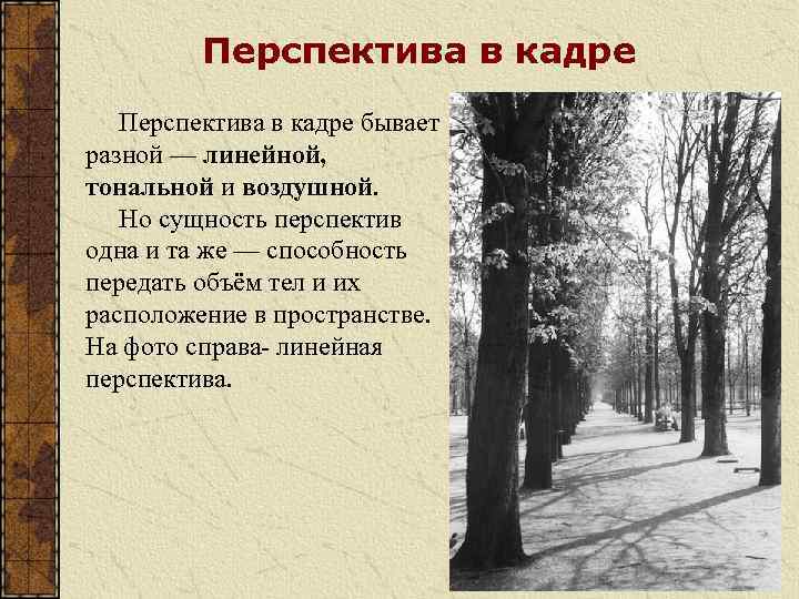 Перспектива в кадре бывает разной — линейной, тональной и воздушной. Но сущность перспектив одна
