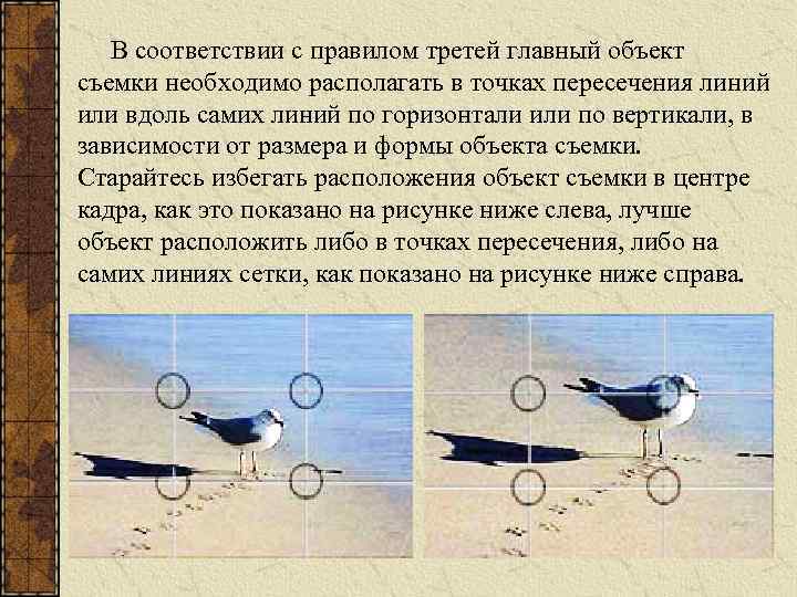 В соответствии с правилом третей главный объект съемки необходимо располагать в точках пересечения линий