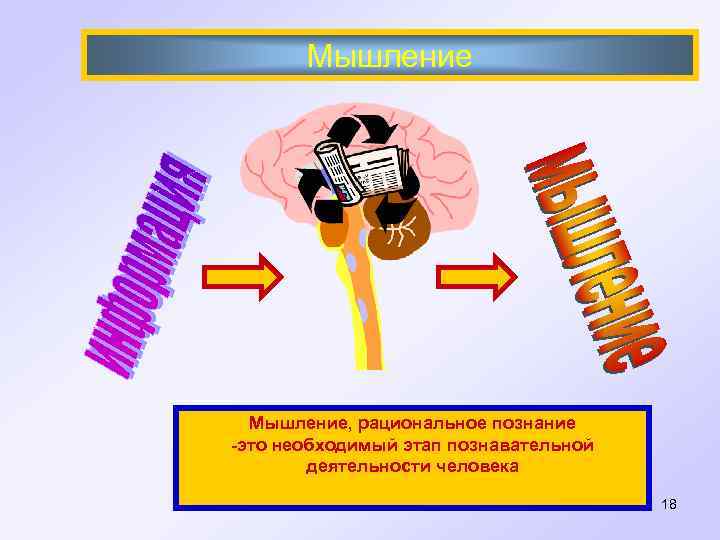 Мышление, рациональное познание -это необходимый этап познавательной деятельности человека 18 