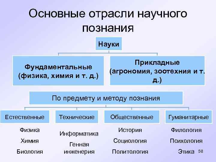 Основные отрасли научного познания Науки Фундаментальные (физика, химия и т. д. ) Прикладные (агрономия,