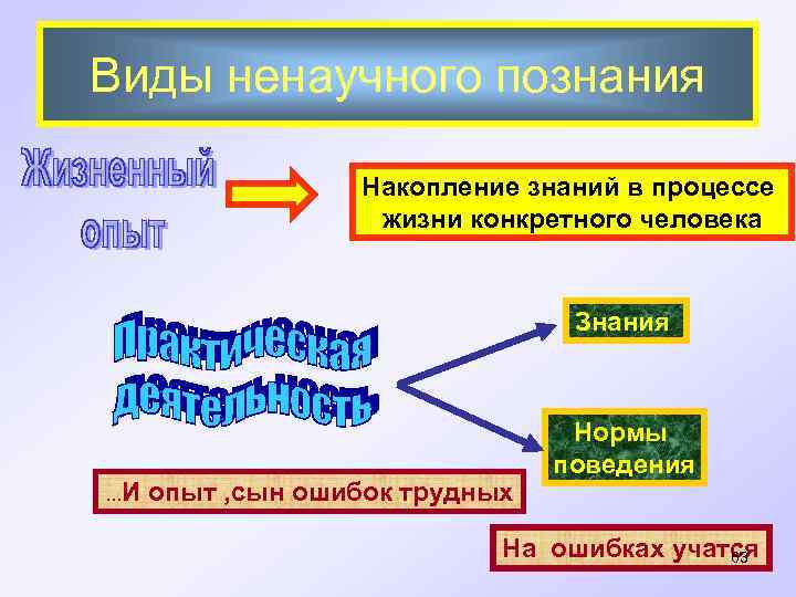 Виды ненаучного познания Накопление знаний в процессе жизни конкретного человека Знания . . .