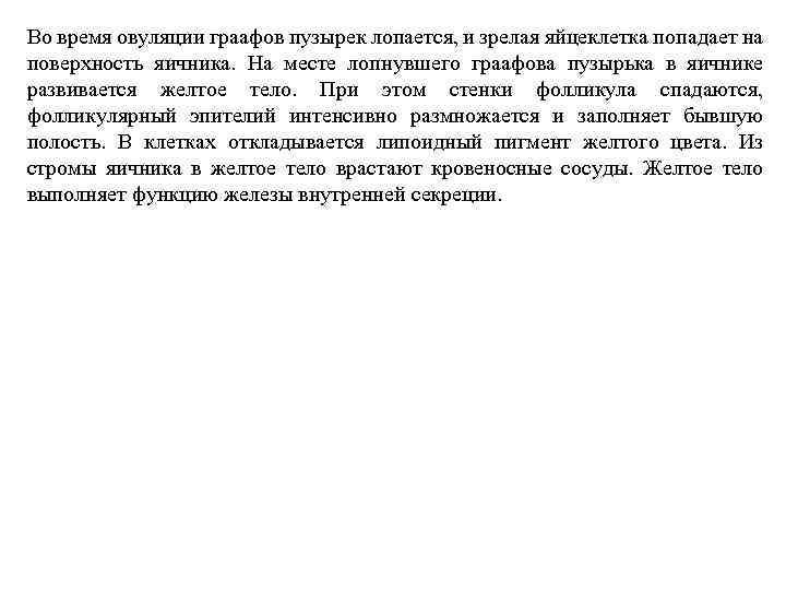 Во время овуляции граафов пузырек лопается, и зрелая яйцеклетка попадает на поверхность яичника. На