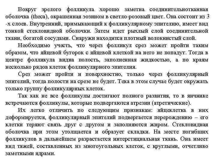 Вокруг зрелого фолликула хорошо заметна соединительнотканная оболочка (theca), окрашенная эозином в светло-розовый цвет. Она