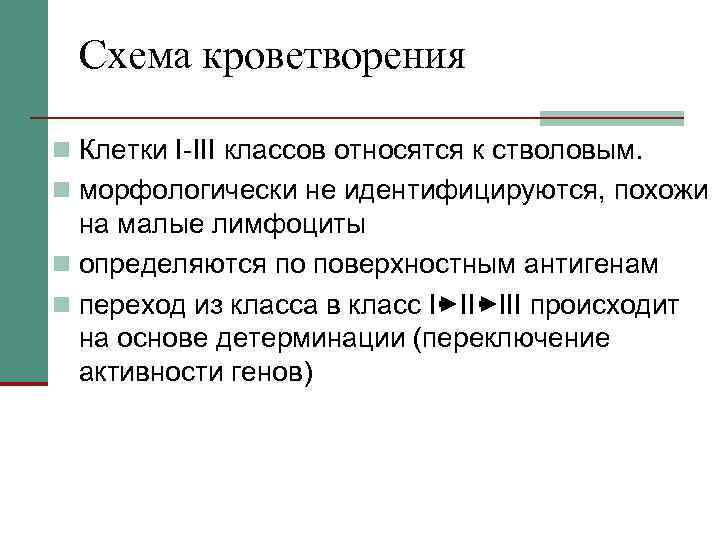 Схема кроветворения n Клетки I-III классов относятся к стволовым. n морфологически не идентифицируются, похожи