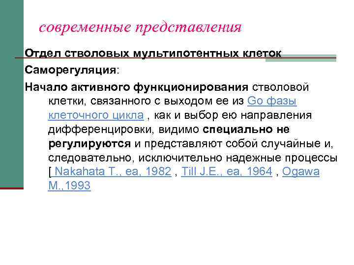 современные представления Отдел стволовых мультипотентных клеток Саморегуляция: Начало активного функционирования стволовой клетки, связанного с