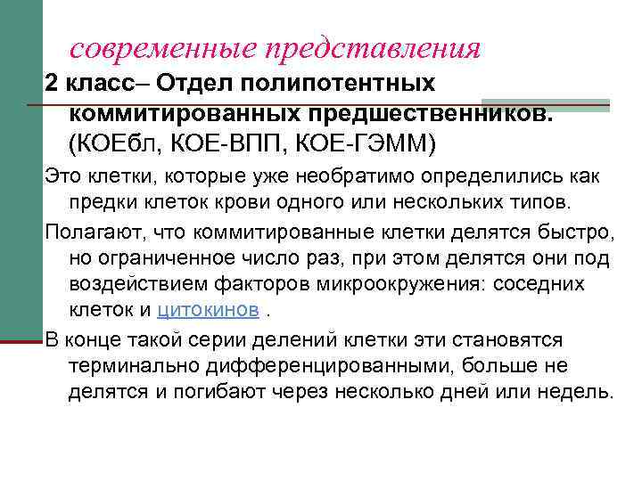современные представления 2 класс– Отдел полипотентных коммитированных предшественников. (КОЕбл, КОЕ-ВПП, КОЕ-ГЭММ) Это клетки, которые