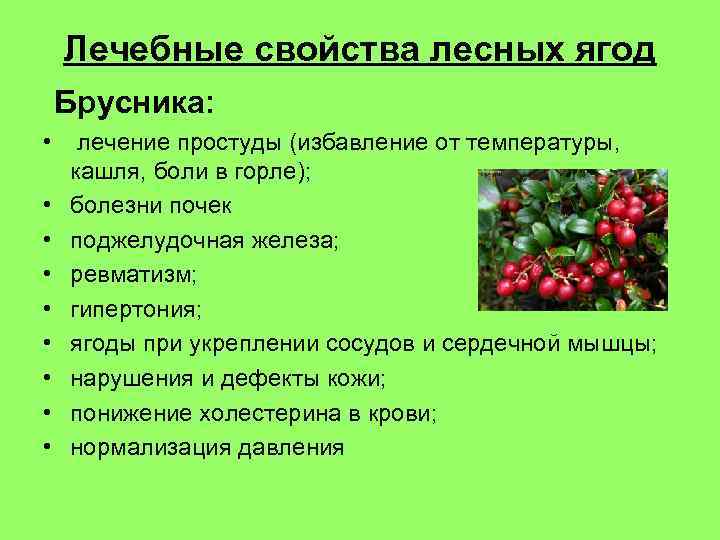 Лечебные свойства лесных ягод Брусника: • лечение простуды (избавление от температуры, кашля, боли в